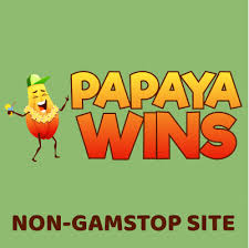 Discover Excitement at Casino Papaya Wins UK Discover Excitement at Casino Papaya Wins UK