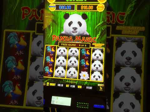 Your Exciting Journey Begins Experience Casino Spinpanda Your Exciting Journey Begins Experience Casino Spinpanda